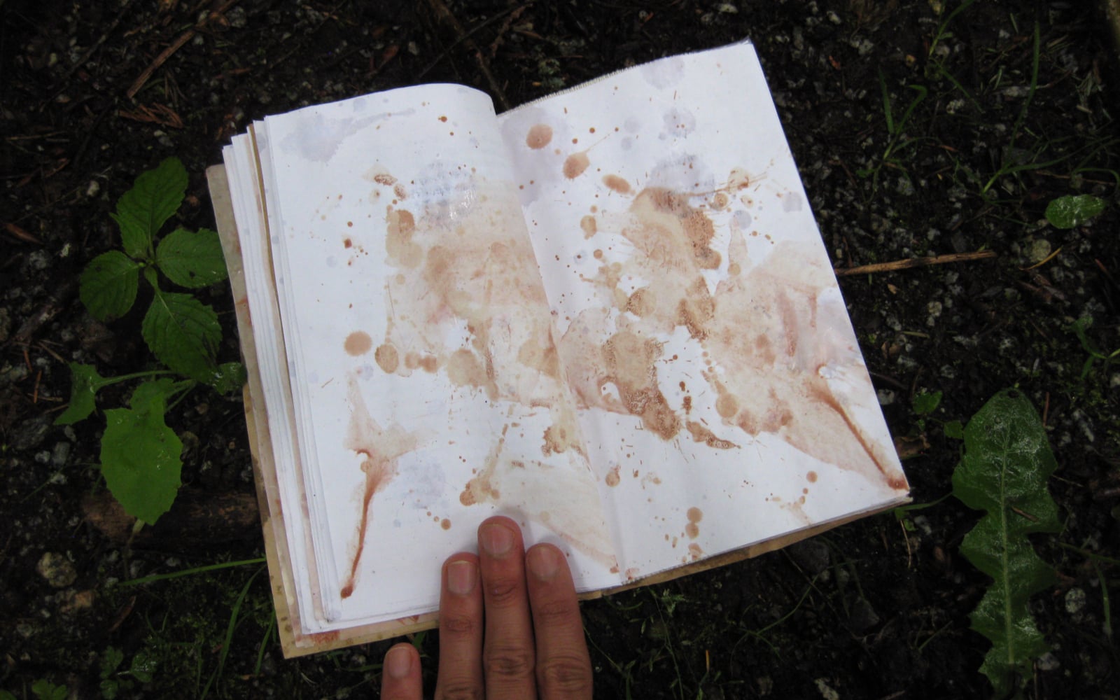 an open book on a wet forest floor. The pages are blank and have been treated with splashes of ink.